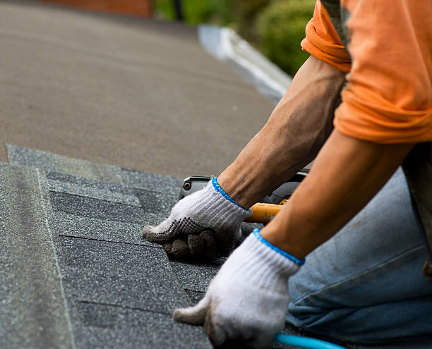 Best Roof Repair Services  in Lakeland, GA